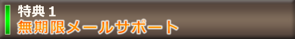 特典1 無期限メールサポート